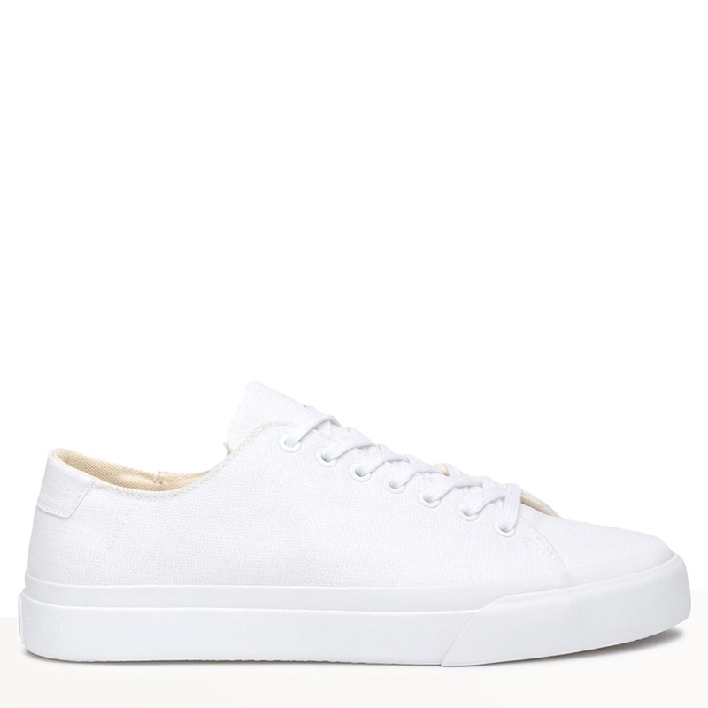 Collective Canvas Baan Sneaker