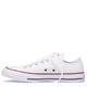 Converse 17652 White